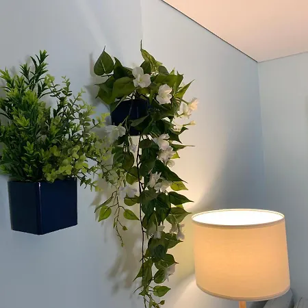 Casa Do Recife, Natureza E Conforto