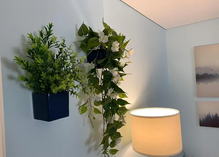 Casa Do Recife, Natureza E Conforto